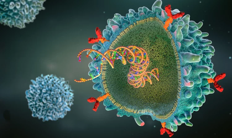 CAR (chimeric antigen receptor) T-cell illustration.