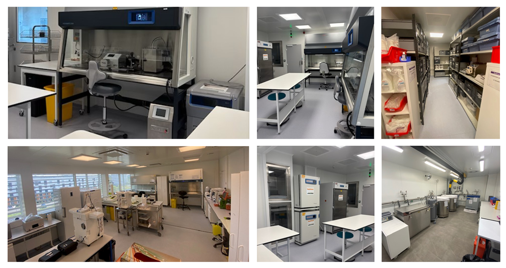 Cell-Easy Expands its GMP Cell Therapy Manufacturing Facility