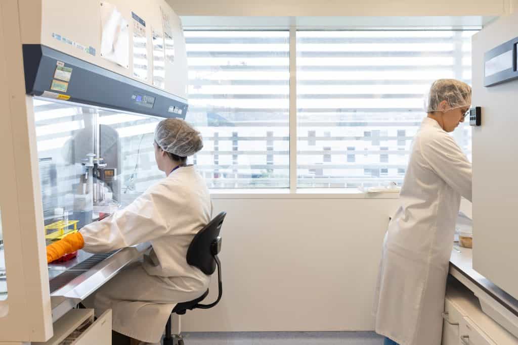 Two lab scientists in lab coats and hairnets working in Cell Easy’s R&D lab. - Cell-Easy