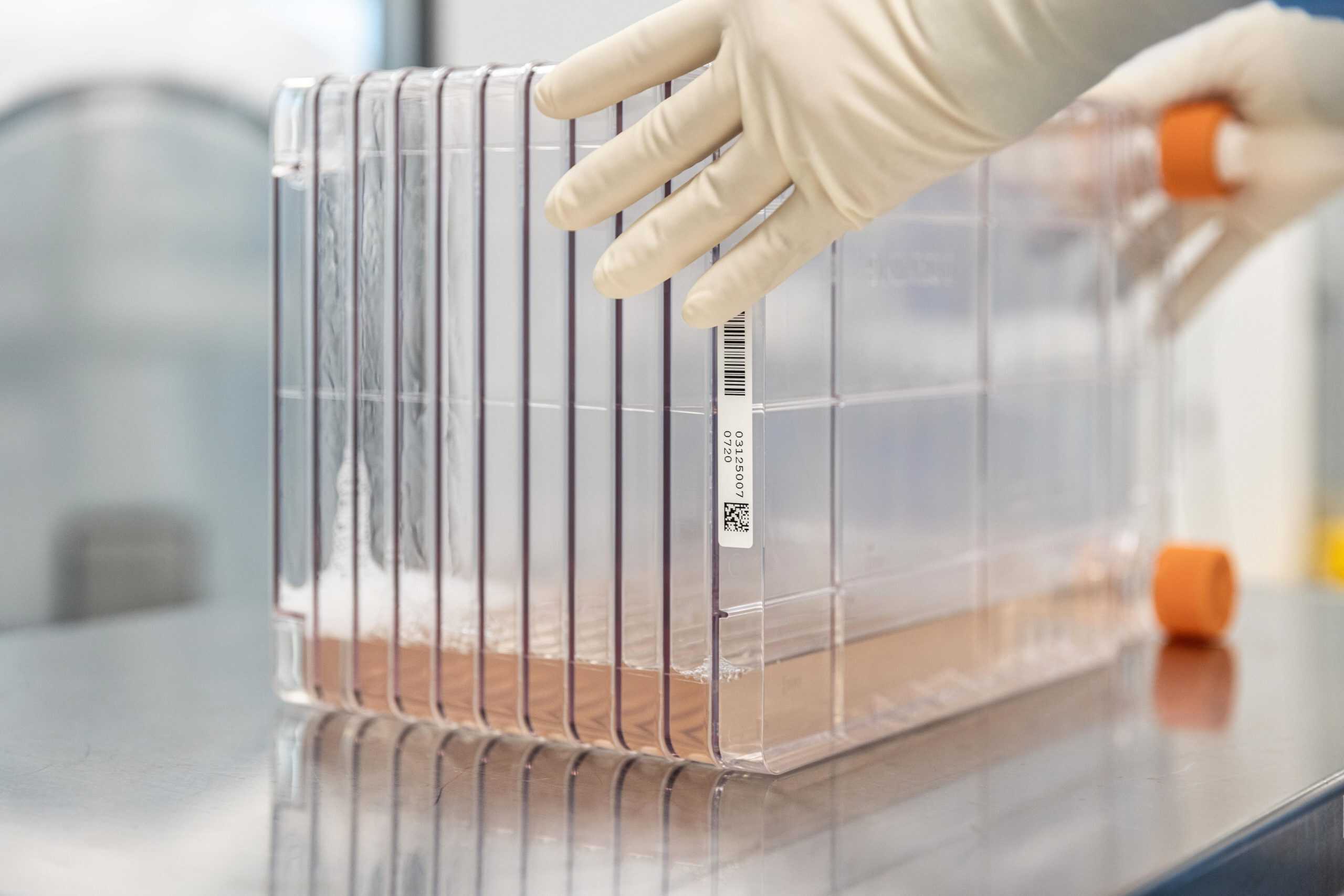 Secure Cell Banking That Forms the Foundation of Your Therapy - Cell ...