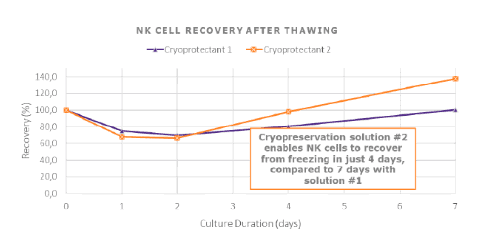 Fig 3: NK Cell Recovery After Thawing– Cell Easy